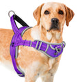 ADVENTUREMORE No-Pull Dog Harness