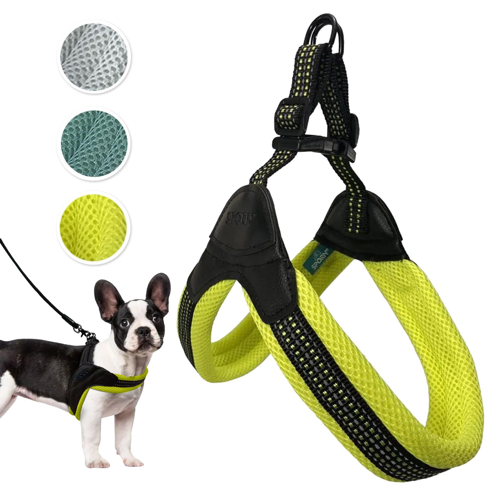 Easy-Fit Mesh No-Choke Dog Harness