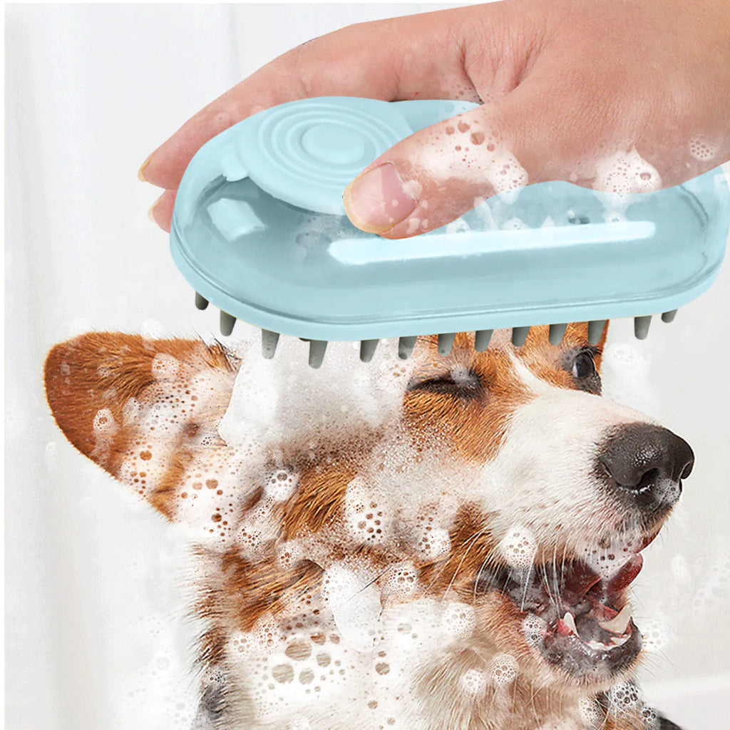 Shampoo-Dispensing Bath Brush