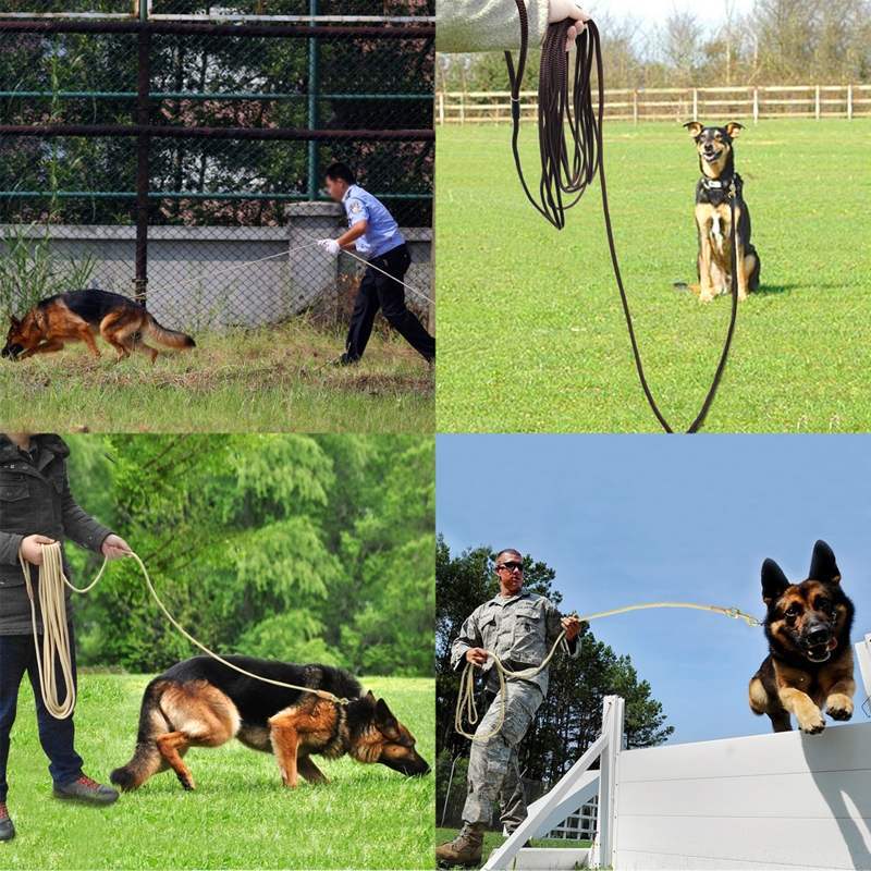 Long Training Lead — 5 m / 10 m / 20 m Recall & Tracking Line
