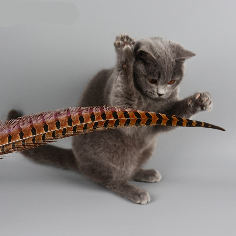 Rabbit & Feather Cat Teaser Wand — Interactive Wand Toy for Indoor Cats