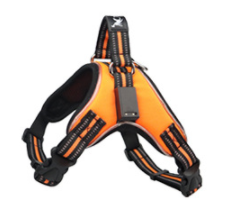 LED Dog Harness — Rechargeable Light-Up Vest for Night Walks