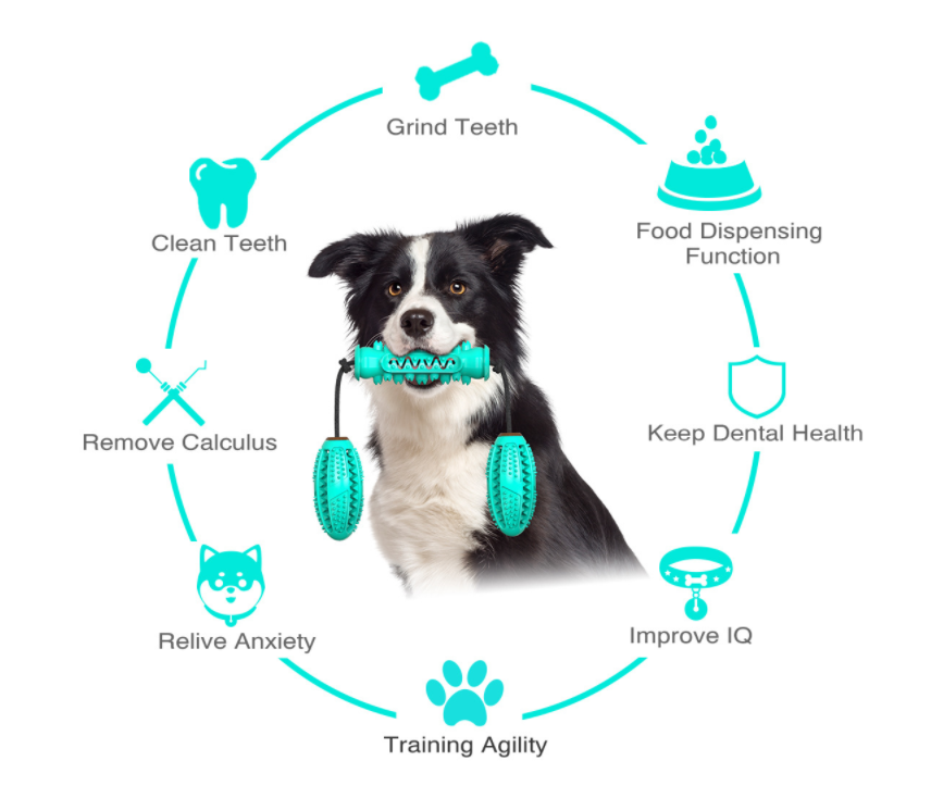 Dog Chew Rope Toy Set — 3-Pack Tug & Dental Chews