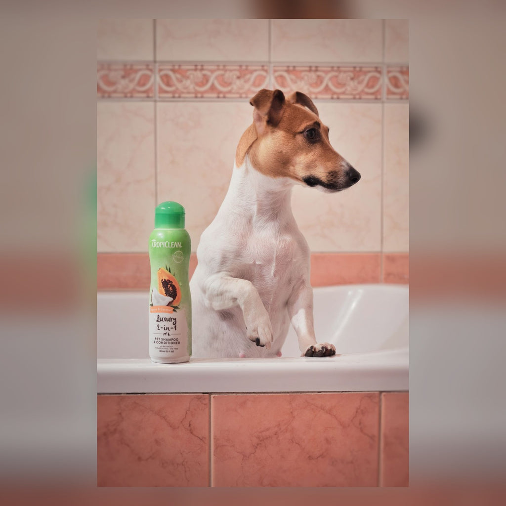 Stress free bath kit with dog in a bathtub