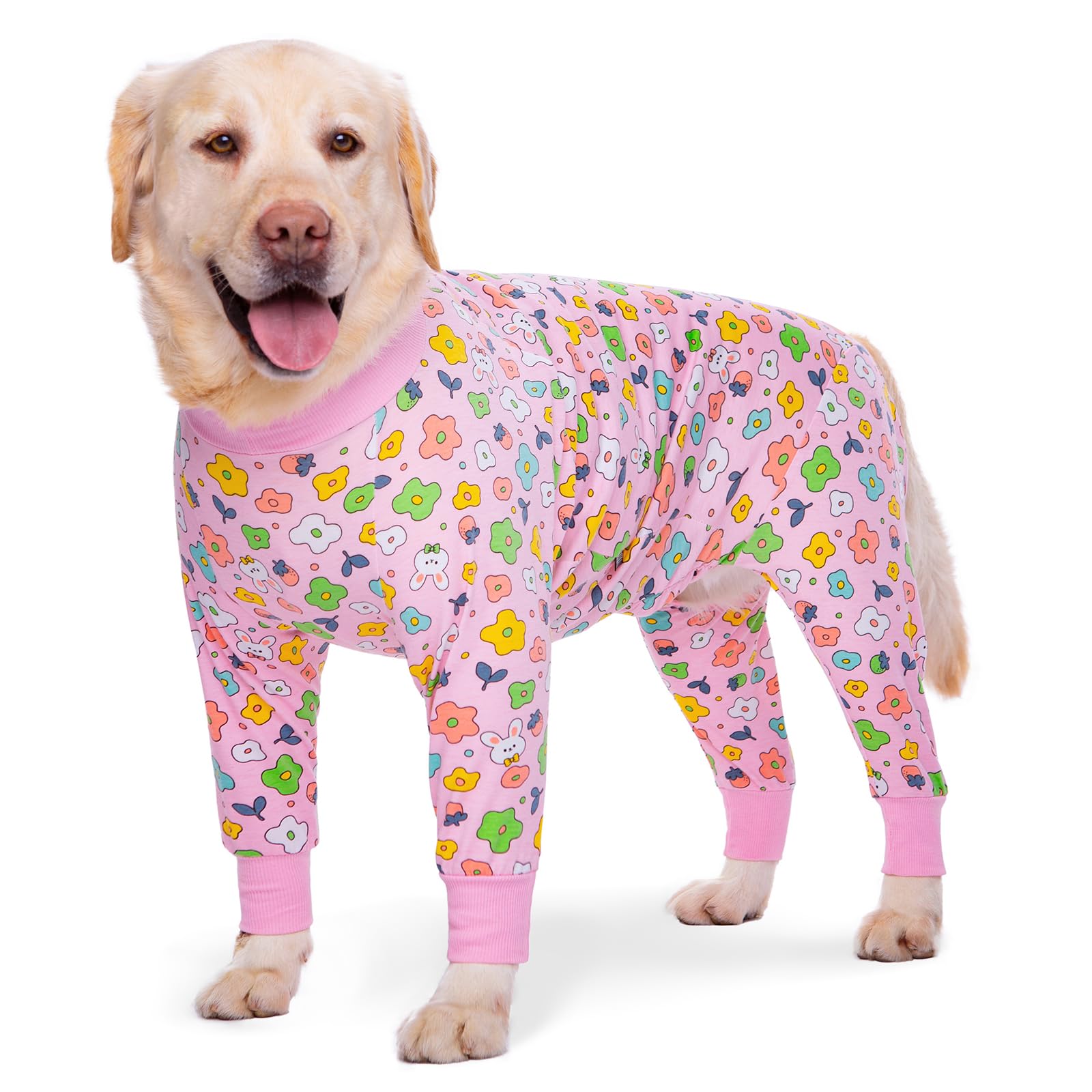 Dog Recovery Suit — Post-Surgery Onesie
