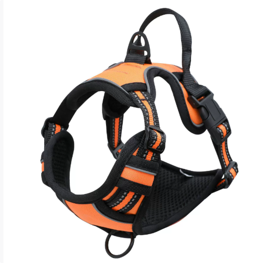 LED Dog Harness — Rechargeable Light-Up Vest for Night Walks