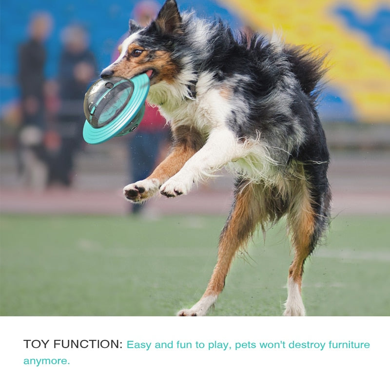 Rotating Disc Dog Frisbee — Bite-Resistant Flying Fetch Toy