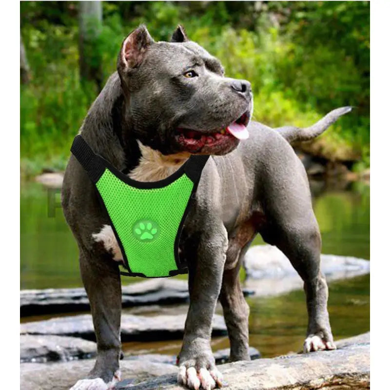 Breathable Mesh Dog Car Safety Harness