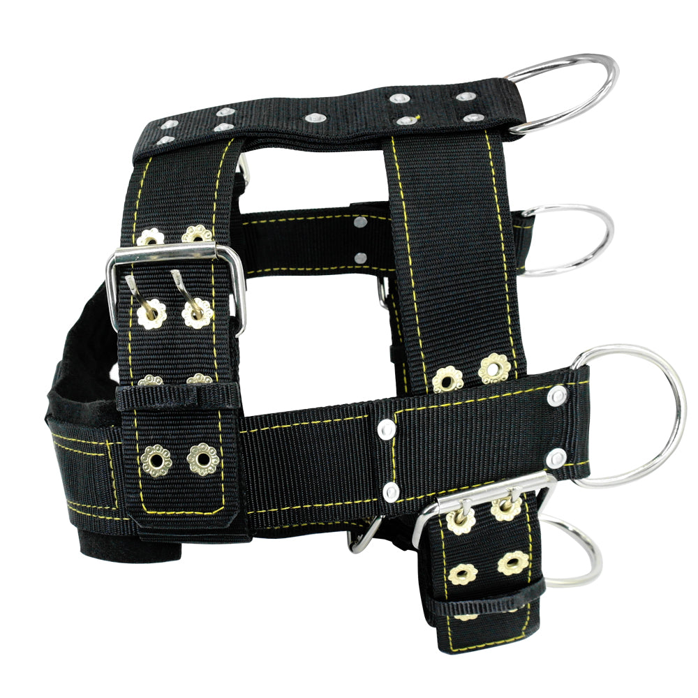 Padded Dog Training Suit