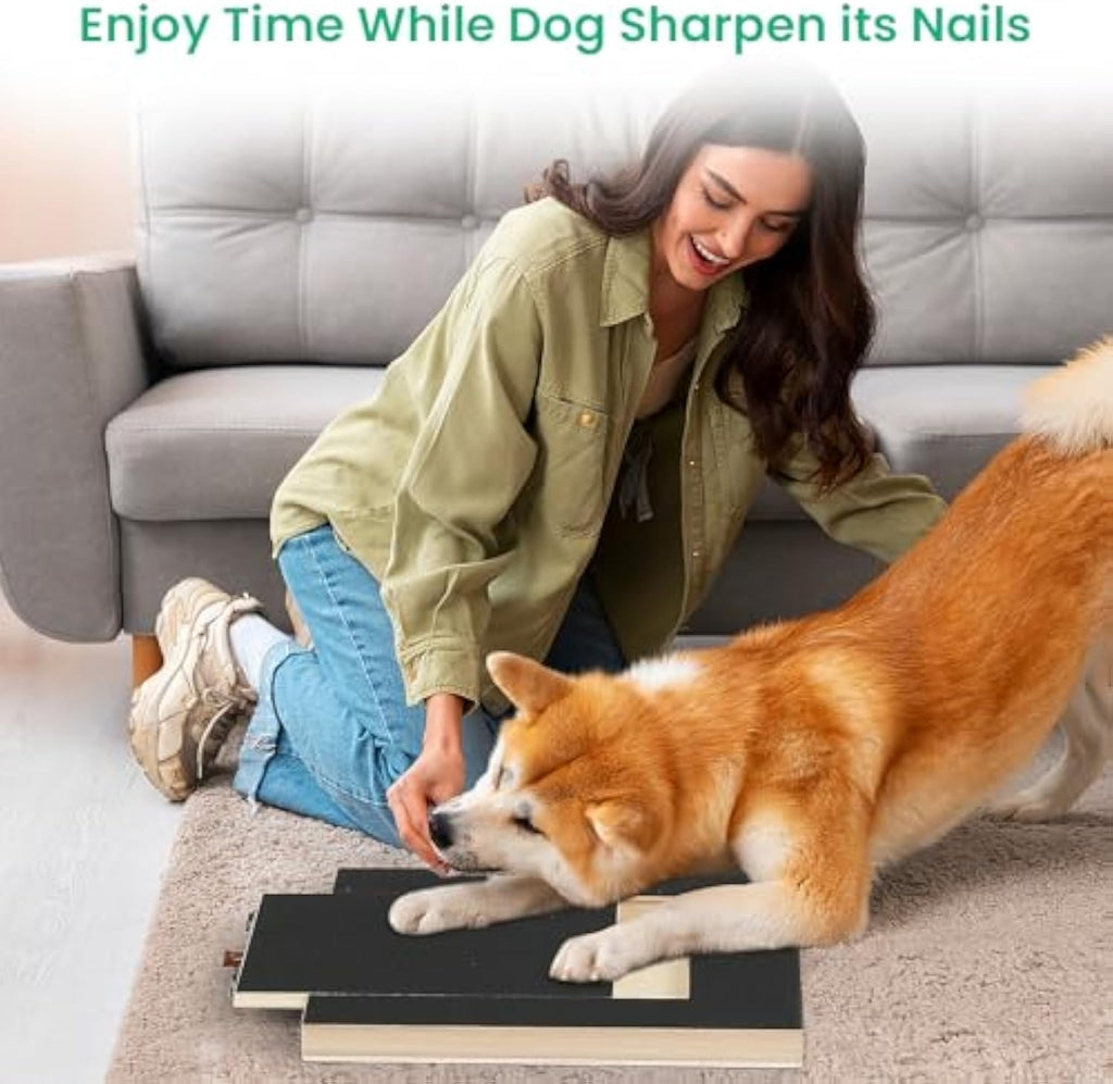 Nail Grinder Scratch Board — Self-Serve Nail File with Treat Box