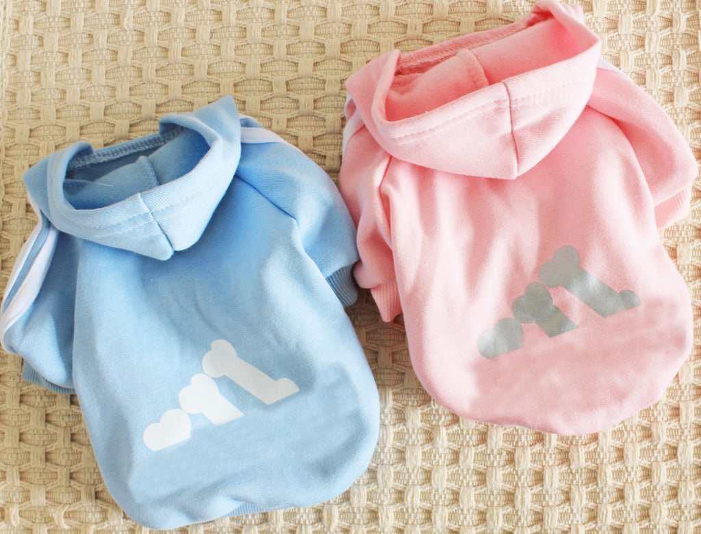 Casual Dog Hoodie
