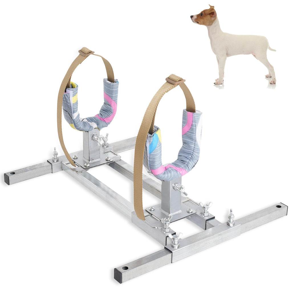 Stainless Steel Dog Breeding Stand — Adjustable Height