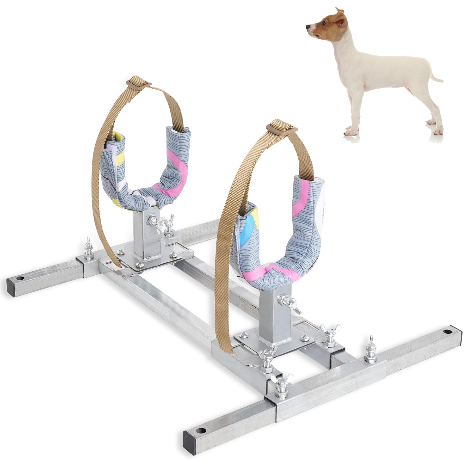 Stainless Steel Dog Breeding Stand — Adjustable Height
