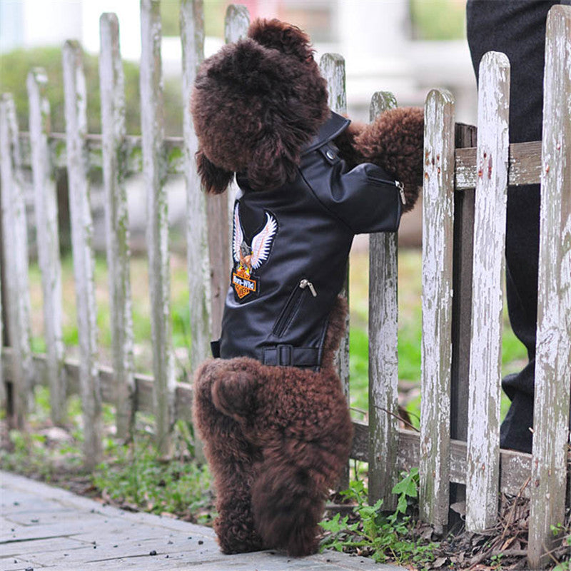 Embroidered PU Leather Dog Jacket — Eagle Biker Coat