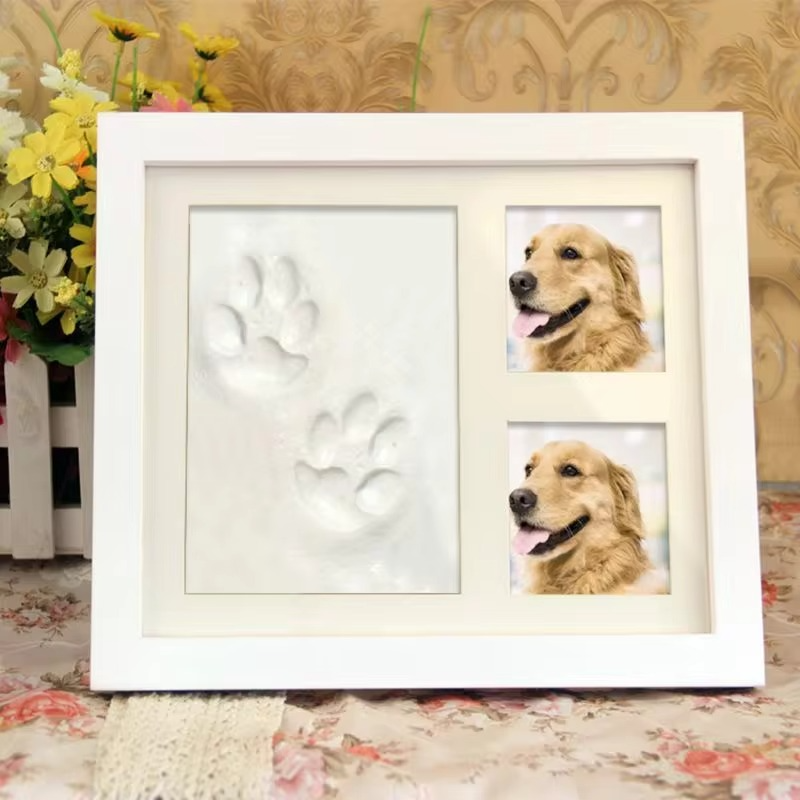 Pet Paw Print Frame DIY Kit