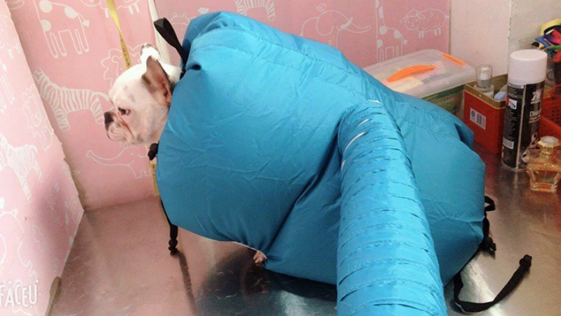 Pet Drying Bag — Portable Fast-Dry Box for Dogs & Cats
