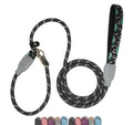 Dog Slip Lead — 6 ft, Comfort Handle