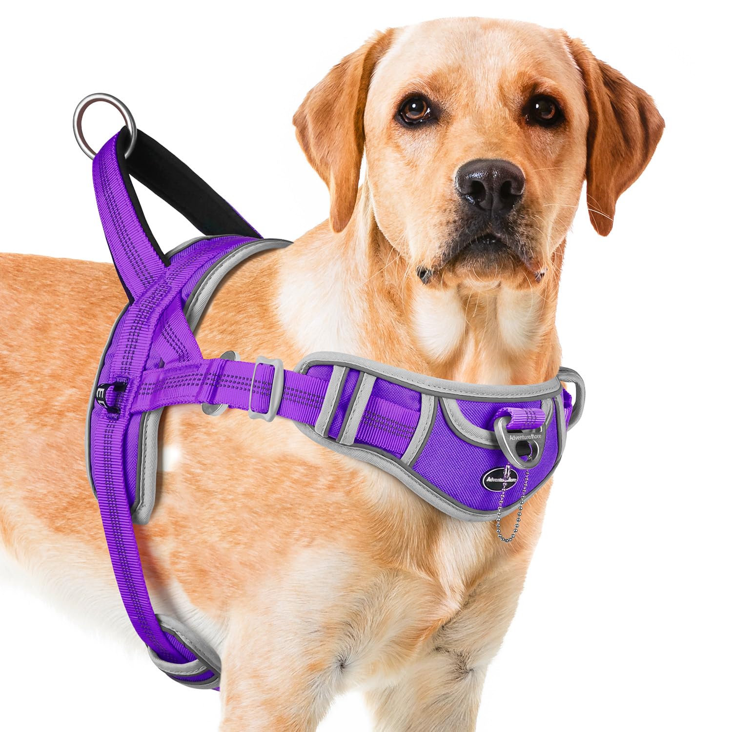 ADVENTUREMORE No-Pull Dog Harness