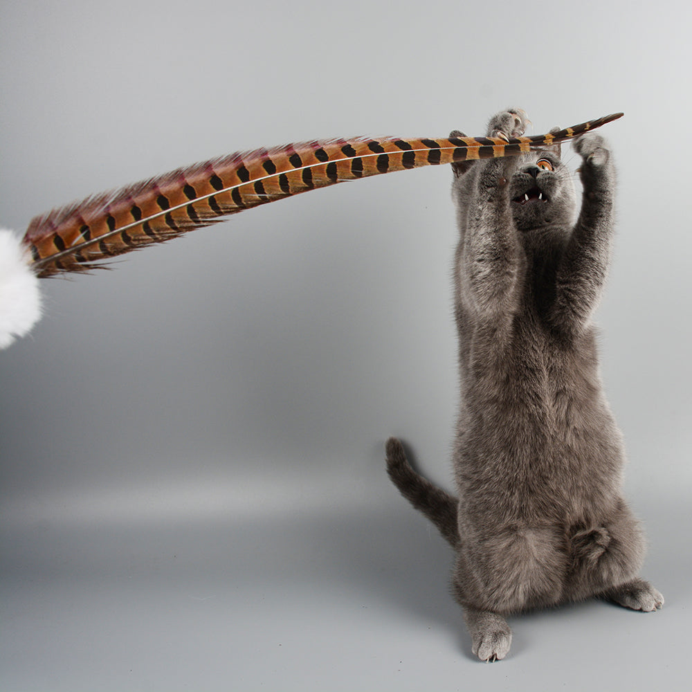 Rabbit & Feather Cat Teaser Wand — Interactive Wand Toy for Indoor Cats