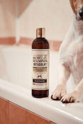 Dog in the bathtub at bath time