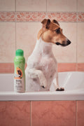 A calm dog at bath time
