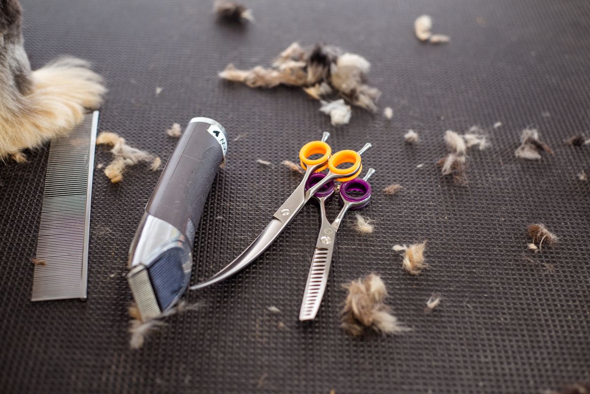 Trimmer and scissors for pet grooming