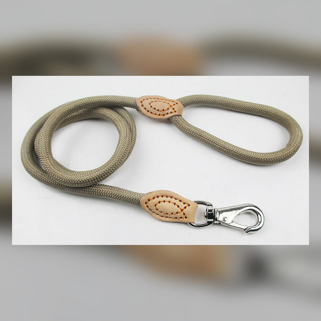 Reflective nylon dog training P-leash