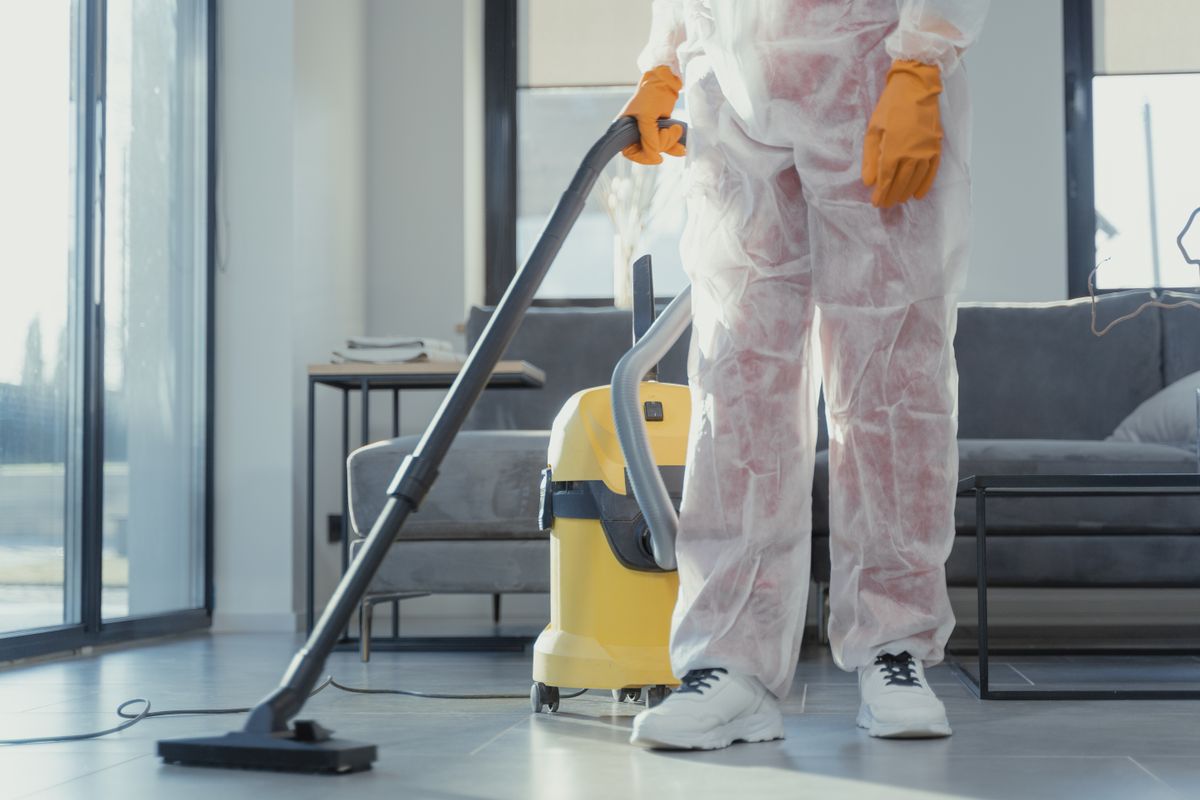 Cleaning up pet hair at home